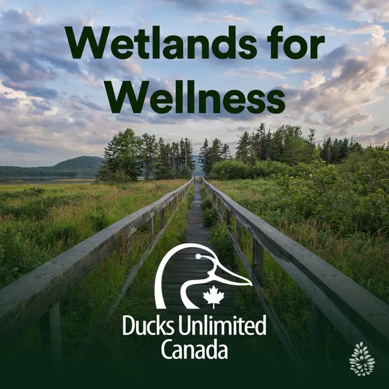 Wetlands for Wellness Playlist